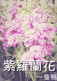 紫罗兰花怎么养盆栽